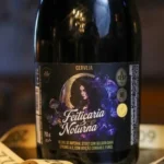 Cerveja Artesanal Feitiçaria Noturna Turatti Stout 750ml - Imagem 2